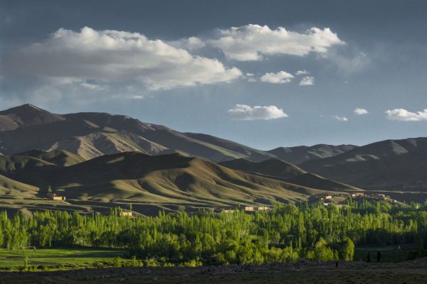 ولایت غزنی ولایت غزنی